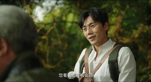 娱乐圈吃瓜情报局隐秘,隐秘情报局大揭秘,吃瓜群众狂欢时刻